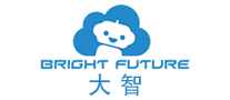 大智怎么樣