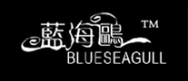 藍(lán)海鷗BLUESEAGULL怎么樣