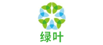 綠葉怎么樣
