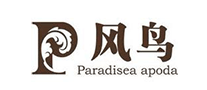 風(fēng)鳥(niǎo)怎么樣